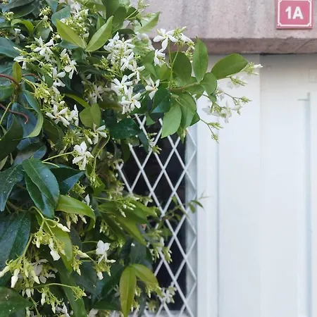 Mimosa House Ayvalı