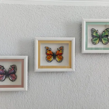 Mimosa House Ayvalı