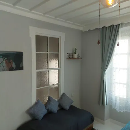 Hotel Mimosa House *