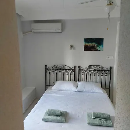 Mimosa House 호텔