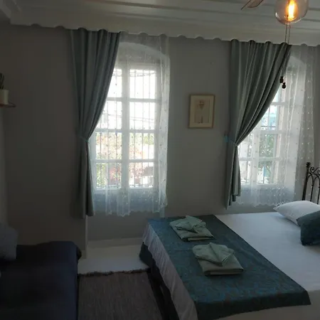 Hotel Mimosa House *